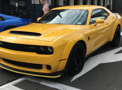 Modern Muscle